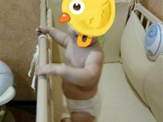  ,  ,   ,  ,       ( )  , : /  