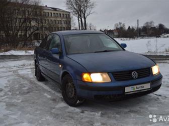   Passat B5 c 2001     ,       10    ,       ,   