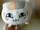 Pusheen cat