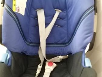     Isofix   , : /  -