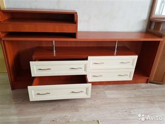      TV,       ,     200 40 73,     87 40 70,        