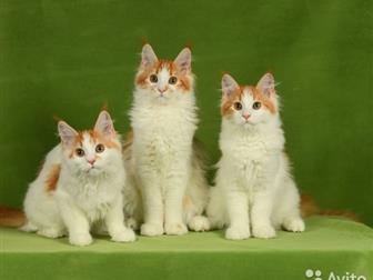  , ,  ,   ,  ,  ,      ,    07, 08,  