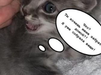   - , ,    ??  !  ,     -    ,   100 ,    (   