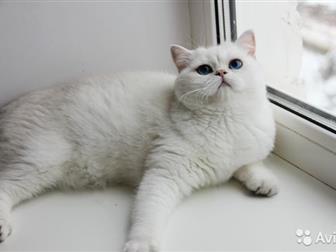    ,   ,  ,  ,  , ,  /,     