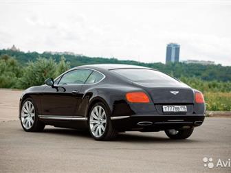 Bentley Continental GT,    ,      ,     ,         