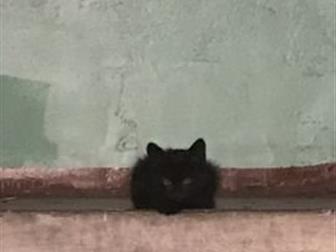     ,  ,  ,  / !  