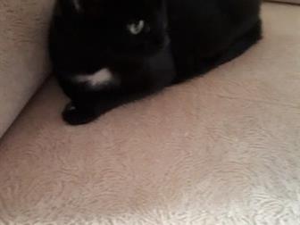       , , ,         ,    - , ,  