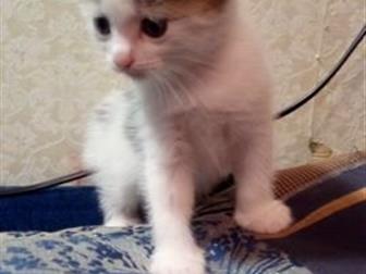    -      ,   23 ,    ,   ,   ,     