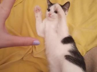 ??,  ???     / ,    : ,  ,  ,      ??    ,  