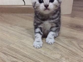  ,  1,2 -  ;3,4-  (,      ;5,6-   (  ;7,8-  