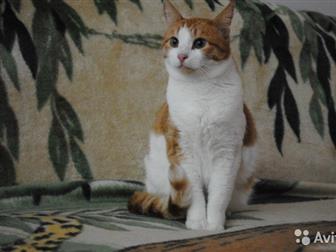    ,   ,    (  3 ),    ,    !   ,  