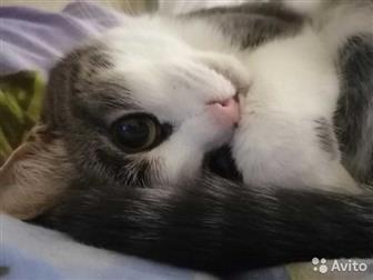 -,    :         ,     ??????, ,  ,  -  