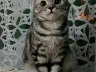  -    ,  (   )  !   , !   !  