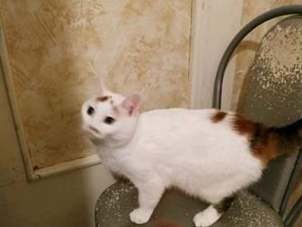       ,  ,     ,   ,    ,     