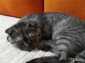  3 ,     ,    ,  