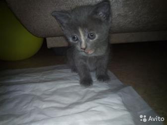,,     ,      (  ),    18:00,  