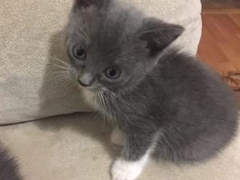  , 2  1  ,   ,  ,    ,      ,     