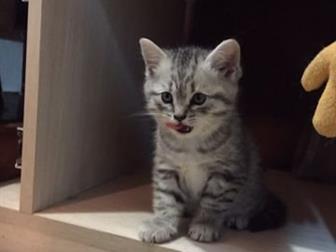   , 28 ,   ,   , , ,         