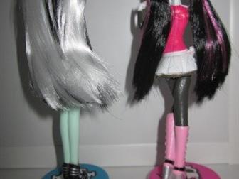      Monster High  : Frankie Stein,  Draculaura,  ,   (  ),    16,5 ,    