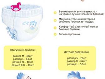 , , , , , , ,  Palmbaby  XL (12-15 ) 40 - Palmbaby      