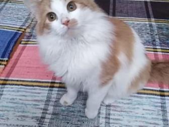        ,   ,   ,    5,  ,    ,   