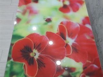 ������ ���� ��������� , ���������� ,����� ������������� ,  ��������� ��������, � ������