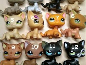 Lps~(, ,  , Littlest Pet Shop)Mlp~(My little pony, ,   , )~Lps~    160  230~Mlp~    70  340??  