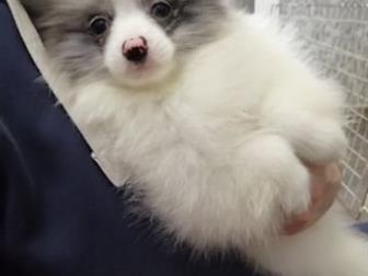           !!!   ,       !  