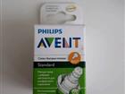   Avent Standard