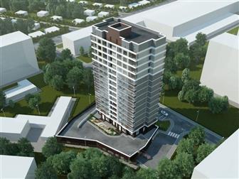  2-     Solo,         , ,  ,  