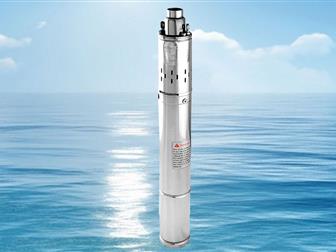    ()    ECO VINT 51802027  