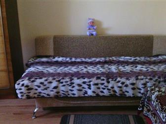  foto  
       2-,    66347323  