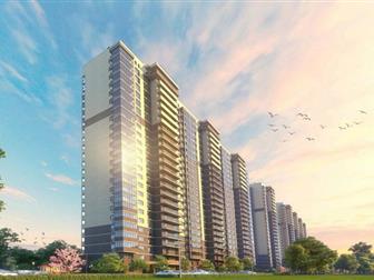    , 
  ,     ,  , 
 ,   -,  ,  