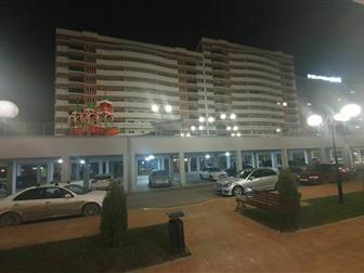 !!     !       !  !     !    