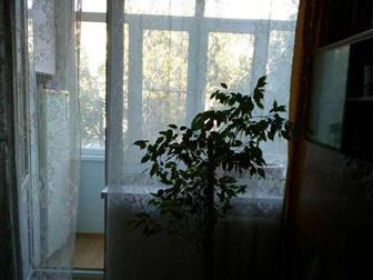 ,   ,  ,  ,  ,     ,   ,  