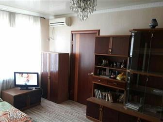  2   42 , ,  1/2        ,    - ,   -  , , ,  