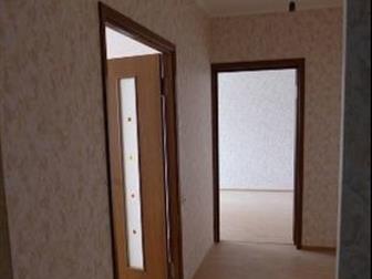  -    ,   ,  ,  ,    ,     ,    