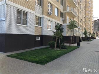    3 , !!!  3  , 100 , ,   2  , 2       ,     