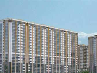  1, 11 , 1 , 
  75%, 
          ,  20, 01, 2020,    