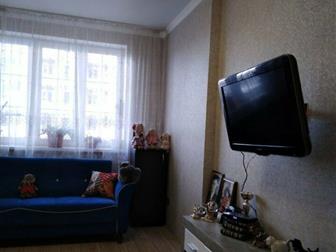  ,   ,   ,       ,   , ,,   ,     