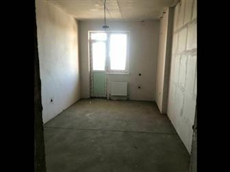  ,   ,     -  , , ,      ,     ,    