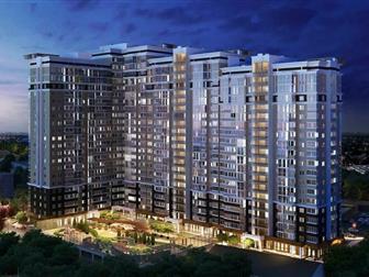  1   1      ,  ,     1-2  2021 ,        