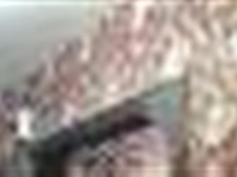      ,   , ,    ,   ,   ,     