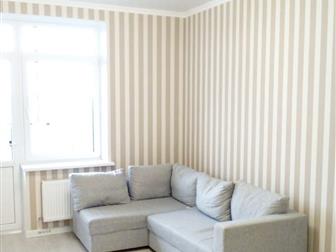  1    - , 46 ,  , , 8/19 ,   ,   -,   -  ,  - ,   