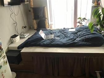    17  17  ,     16 ,     ,  ,       :  