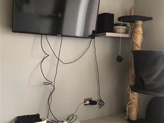    17  17  ,     16 ,     ,  ,       :  