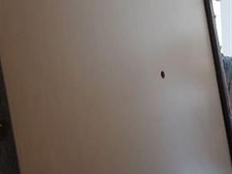      ,    \,    \ -     ,            