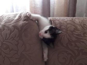     ,  2 ,    ,      ,   ,    , , ,    