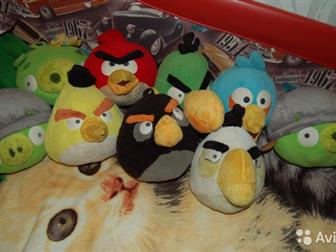        Angry Birds,    ,     , : /  