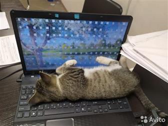  3-4 ,     ,    ,  